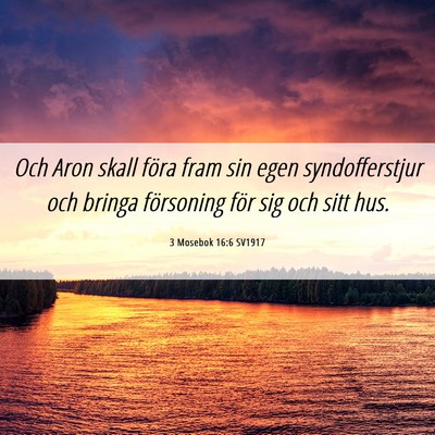 Picture 06 - 3 Mosebok 16:6 SV1917 - Och Aron skall föra fram sin egen syndofferstjur - Bible Verse Picture