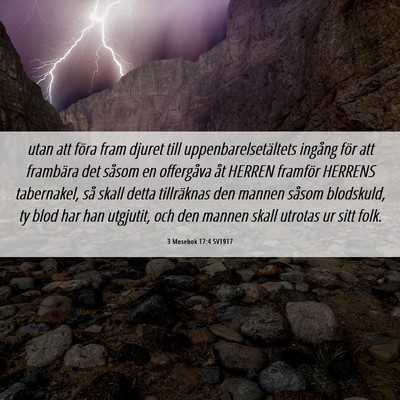 Picture 06 - 3 Mosebok 17:4 SV1917 - utan att föra fram djuret till - Bible Verse Picture