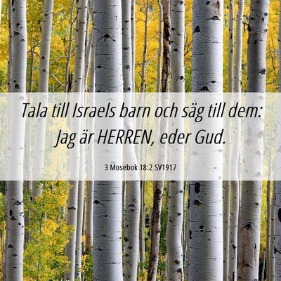 Picture 06 - 3 Mosebok 18:2 SV1917 - Tala till Israels barn och säg till dem: Jag är - Bible Verse Picture