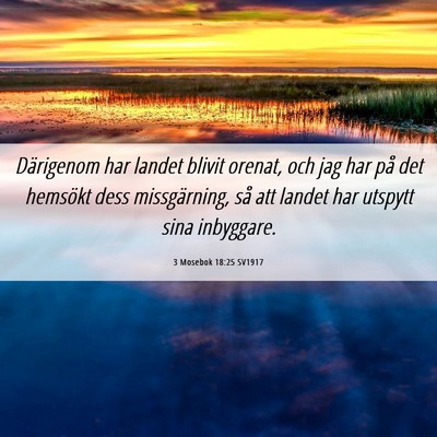 Picture 06 - 3 Mosebok 18:25 SV1917 - Därigenom har landet blivit orenat, och jag har - Bible Verse Picture