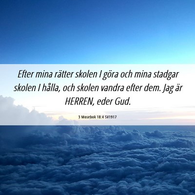 Picture 06 - 3 Mosebok 18:4 SV1917 - Efter mina rätter skolen I göra och mina - Bible Verse Picture