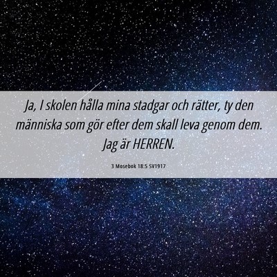 Picture 06 - 3 Mosebok 18:5 SV1917 - Ja, I skolen hålla mina stadgar och rätter, ty - Bible Verse Picture