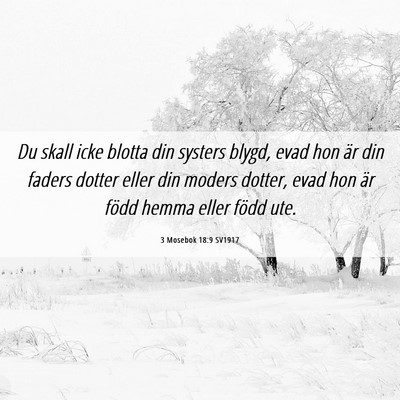 Picture 06 - 3 Mosebok 18:9 SV1917 - Du skall icke blotta din systers blygd, evad hon - Bible Verse Picture