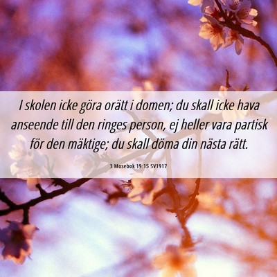 Picture 06 - 3 Mosebok 19:15 SV1917 - I skolen icke göra orätt i domen; du skall icke - Bible Verse Picture
