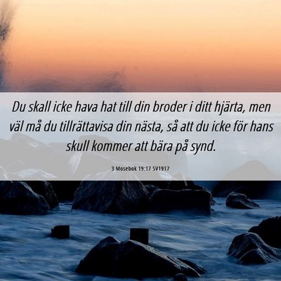 Picture 06 - 3 Mosebok 19:17 SV1917 - Du skall icke hava hat till din broder i ditt - Bible Verse Picture