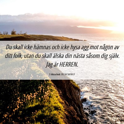 Picture 06 - 3 Mosebok 19:18 SV1917 - Du skall icke hämnas och icke hysa agg mot - Bible Verse Picture