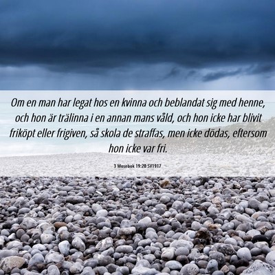 Picture 06 - 3 Mosebok 19:20 SV1917 - Om en man har legat hos en kvinna och beblandat - Bible Verse Picture