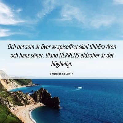 Picture 06 - 3 Mosebok 2:3 SV1917 - Och det som är över av spisoffret skall - Bible Verse Picture