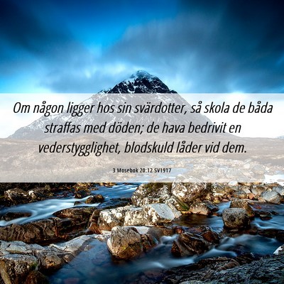 Picture 06 - 3 Mosebok 20:12 SV1917 - Om någon ligger hos sin svärdotter, så skola - Bible Verse Picture