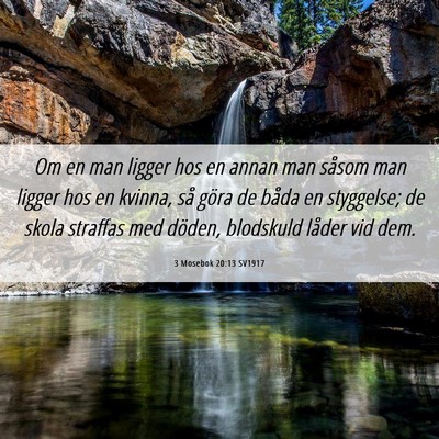 Picture 06 - 3 Mosebok 20:13 SV1917 - Om en man ligger hos en annan man såsom man - Bible Verse Picture