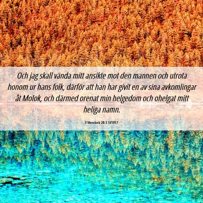 Picture 06 - 3 Mosebok 20:3 SV1917 - Och jag skall vända mitt ansikte mot den mannen - Bible Verse Picture
