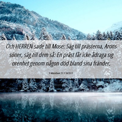 Picture 06 - 3 Mosebok 21:1 SV1917 - Och HERREN sade till Mose: Säg till prästerna, - Bible Verse Picture