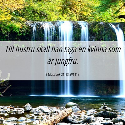 Picture 06 - 3 Mosebok 21:13 SV1917 - Till hustru skall han taga en kvinna som är - Bible Verse Picture