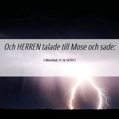Picture 06 - 3 Mosebok 21:16 SV1917 - Och HERREN talade till Mose och - Bible Verse Picture
