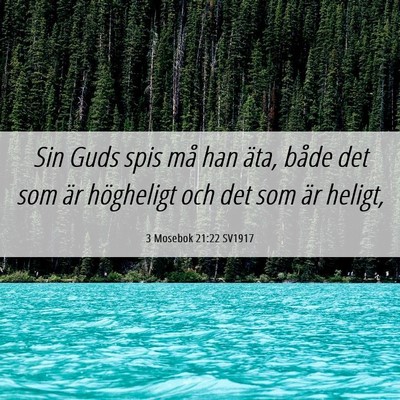 Picture 06 - 3 Mosebok 21:22 SV1917 - Sin Guds spis må han äta, både det som är - Bible Verse Picture