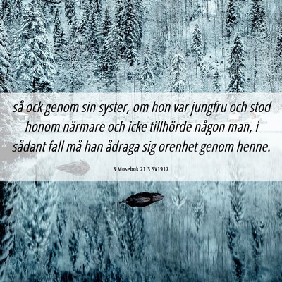 Picture 06 - 3 Mosebok 21:3 SV1917 - så ock genom sin syster, om hon var jungfru och - Bible Verse Picture