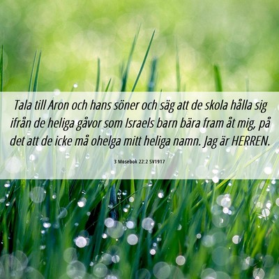 Picture 06 - 3 Mosebok 22:2 SV1917 - Tala till Aron och hans söner och säg att de - Bible Verse Picture