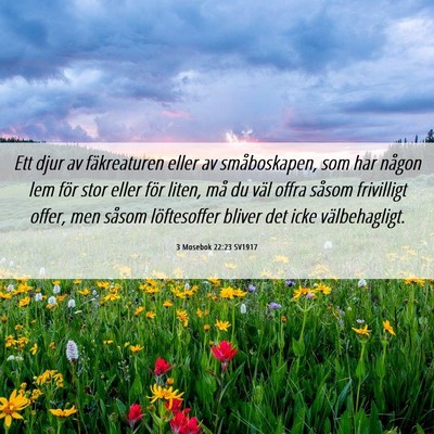 Picture 06 - 3 Mosebok 22:23 SV1917 - Ett djur av fäkreaturen eller av småboskapen, - Bible Verse Picture
