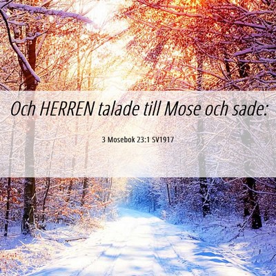 Picture 06 - 3 Mosebok 23:1 SV1917 - Och HERREN talade till Mose och - Bible Verse Picture