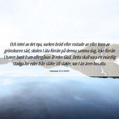 Picture 06 - 3 Mosebok 23:14 SV1917 - Och intet av det nya, varken bröd eller rostade - Bible Verse Picture