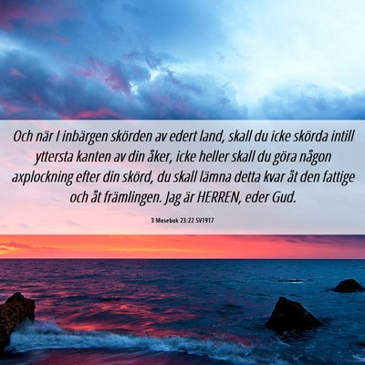 Picture 06 - 3 Mosebok 23:22 SV1917 - Och när I inbärgen skörden av edert land, - Bible Verse Picture