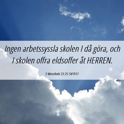 Picture 06 - 3 Mosebok 23:25 SV1917 - Ingen arbetssyssla skolen I då göra, och I - Bible Verse Picture