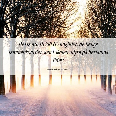Picture 06 - 3 Mosebok 23:4 SV1917 - Dessa äro HERRENS högtider, de heliga - Bible Verse Picture