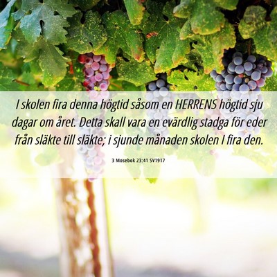 Picture 06 - 3 Mosebok 23:41 SV1917 - I skolen fira denna högtid såsom en HERRENS - Bible Verse Picture