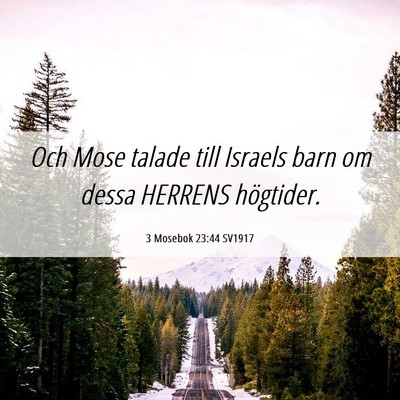 Picture 06 - 3 Mosebok 23:44 SV1917 - Och Mose talade till Israels barn om dessa - Bible Verse Picture