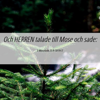 Picture 06 - 3 Mosebok 23:9 SV1917 - Och HERREN talade till Mose och - Bible Verse Picture
