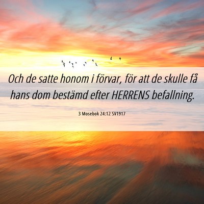 Picture 06 - 3 Mosebok 24:12 SV1917 - Och de satte honom i förvar, för att de skulle - Bible Verse Picture