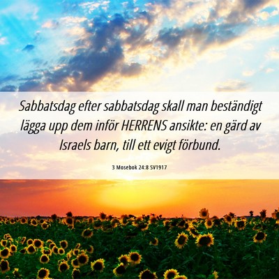 Picture 06 - 3 Mosebok 24:8 SV1917 - Sabbatsdag efter sabbatsdag skall man beständigt - Bible Verse Picture
