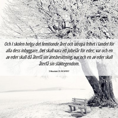 Picture 06 - 3 Mosebok 25:10 SV1917 - Och I skolen helga det femtionde året och utropa - Bible Verse Picture