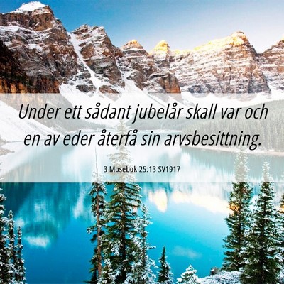 Picture 06 - 3 Mosebok 25:13 SV1917 - Under ett sådant jubelår skall var och en av - Bible Verse Picture