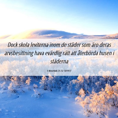 Picture 06 - 3 Mosebok 25:32 SV1917 - Dock skola leviterna inom de städer som äro - Bible Verse Picture