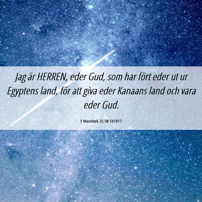 Picture 06 - 3 Mosebok 25:38 SV1917 - Jag är HERREN, eder Gud, som har fört eder ut - Bible Verse Picture