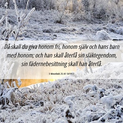 Picture 06 - 3 Mosebok 25:41 SV1917 - Då skall du giva honom fri, honom själv och - Bible Verse Picture