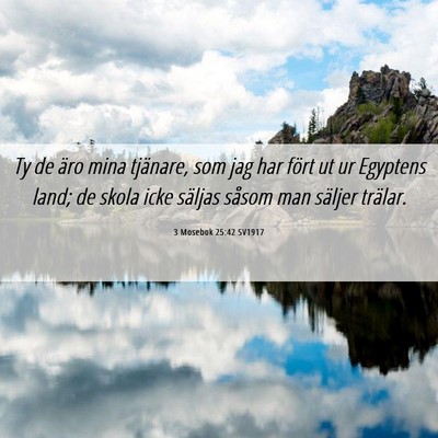 Picture 06 - 3 Mosebok 25:42 SV1917 - Ty de äro mina tjänare, som jag har fört ut ur - Bible Verse Picture