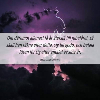 Picture 06 - 3 Mosebok 25:52 SV1917 - Om däremot allenast få år återstå till - Bible Verse Picture