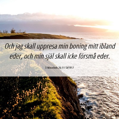 Picture 06 - 3 Mosebok 26:11 SV1917 - Och jag skall uppresa min boning mitt ibland - Bible Verse Picture