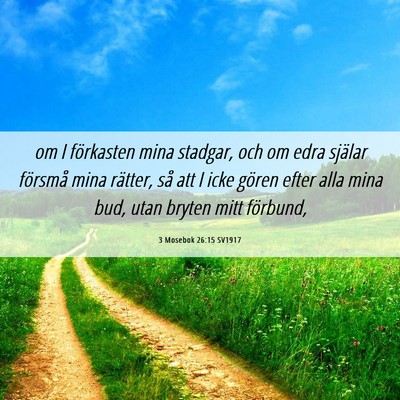 Picture 06 - 3 Mosebok 26:15 SV1917 - om I förkasten mina stadgar, och om edra själar - Bible Verse Picture