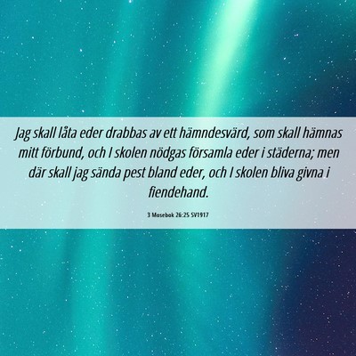 Picture 06 - 3 Mosebok 26:25 SV1917 - Jag skall låta eder drabbas av ett - Bible Verse Picture