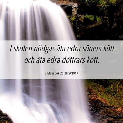 Picture 06 - 3 Mosebok 26:29 SV1917 - I skolen nödgas äta edra söners kött och äta - Bible Verse Picture