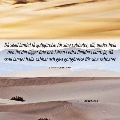 Picture 06 - 3 Mosebok 26:34 SV1917 - Då skall landet få gottgörelse för sina - Bible Verse Picture