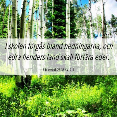 Picture 06 - 3 Mosebok 26:38 SV1917 - I skolen förgås bland hedningarna, och edra - Bible Verse Picture