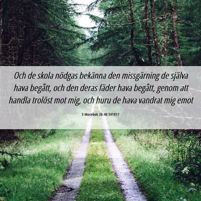 Picture 06 - 3 Mosebok 26:40 SV1917 - Och de skola nödgas bekänna den missgärning de - Bible Verse Picture