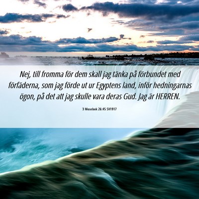 Picture 06 - 3 Mosebok 26:45 SV1917 - Nej, till fromma för dem skall jag tänka på - Bible Verse Picture