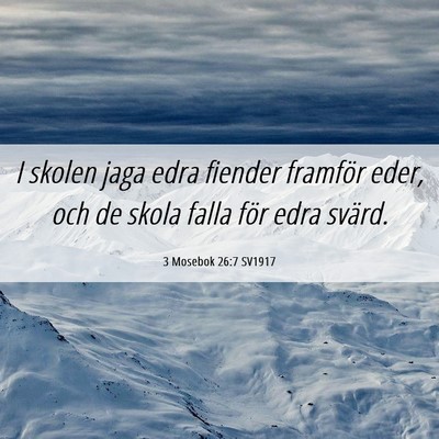 Picture 06 - 3 Mosebok 26:7 SV1917 - I skolen jaga edra fiender framför eder, och de - Bible Verse Picture