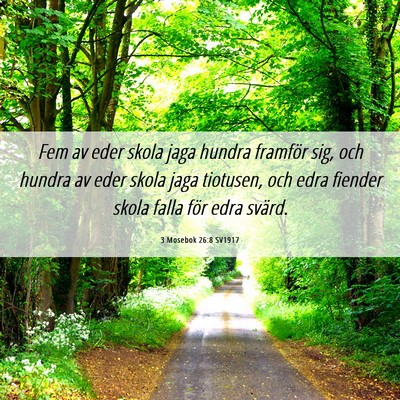 Picture 06 - 3 Mosebok 26:8 SV1917 - Fem av eder skola jaga hundra framför sig, och - Bible Verse Picture