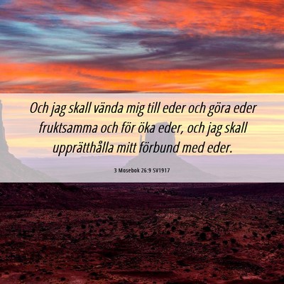 Picture 06 - 3 Mosebok 26:9 SV1917 - Och jag skall vända mig till eder och göra eder - Bible Verse Picture